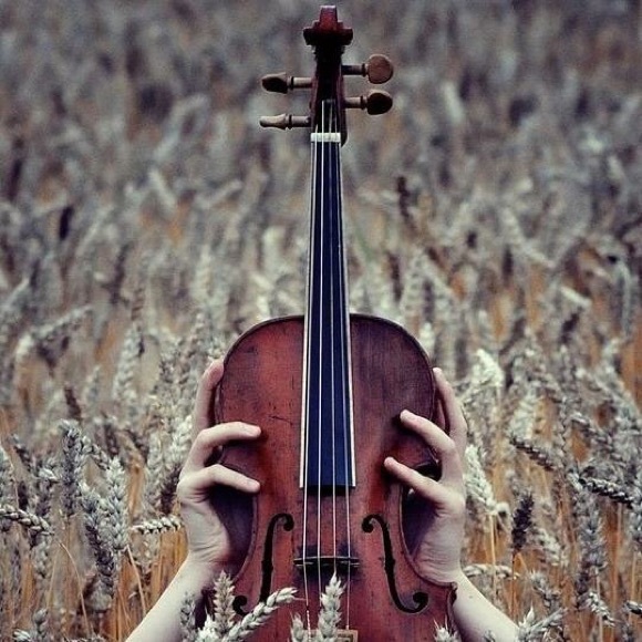 Meet your Posher, Alana - Picture 1 of 1